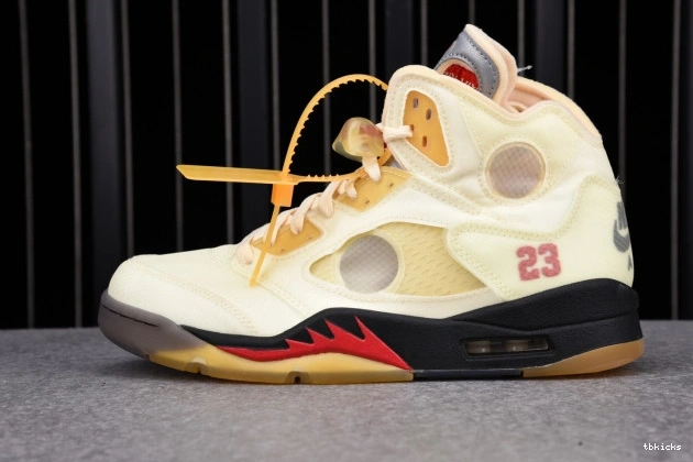 Reps TBK Retro DH8565-100 OFF-WHITE Sail Jordan 5 0825